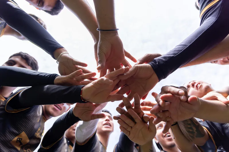 Team Collaboration